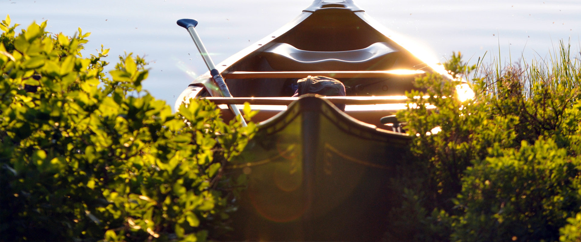 手机号轰炸业务网